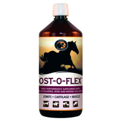 Ost O Flex Vooraan Ost O Flex Vooraan
