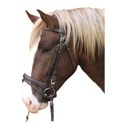 Cabezada cuero caballo de tiro Covalliero Cabezada cuero caballo de tiro Covalliero