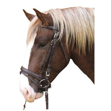 Cabezada cuero caballo de tiro Covalliero Cabezada cuero caballo de tiro Covalliero