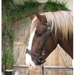 Cabezada cuero caballo de tiro Covalliero Cabezada cuero caballo de tiro Covalliero