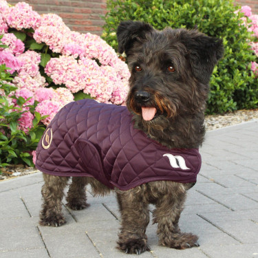 Abrigo para perro Back on Track® Night Collection Burdeos Abrigo para perro Back on Track® Night Collection Burdeos