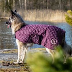 Abrigo para perro Back on Track® Night Collection Burdeos