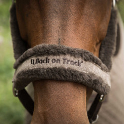 Cabezada de cuadra Back on Track Haze Collection Cabezada de cuadra Back on Track Haze Collection