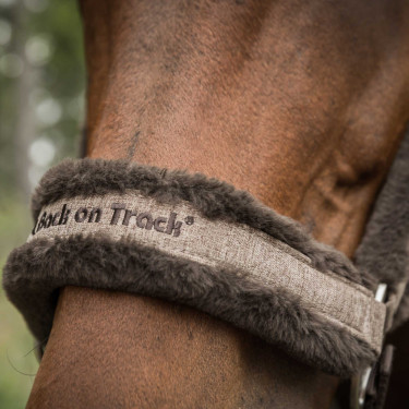 Cabezada de cuadra Back on Track Haze Collection Castaño Marrón