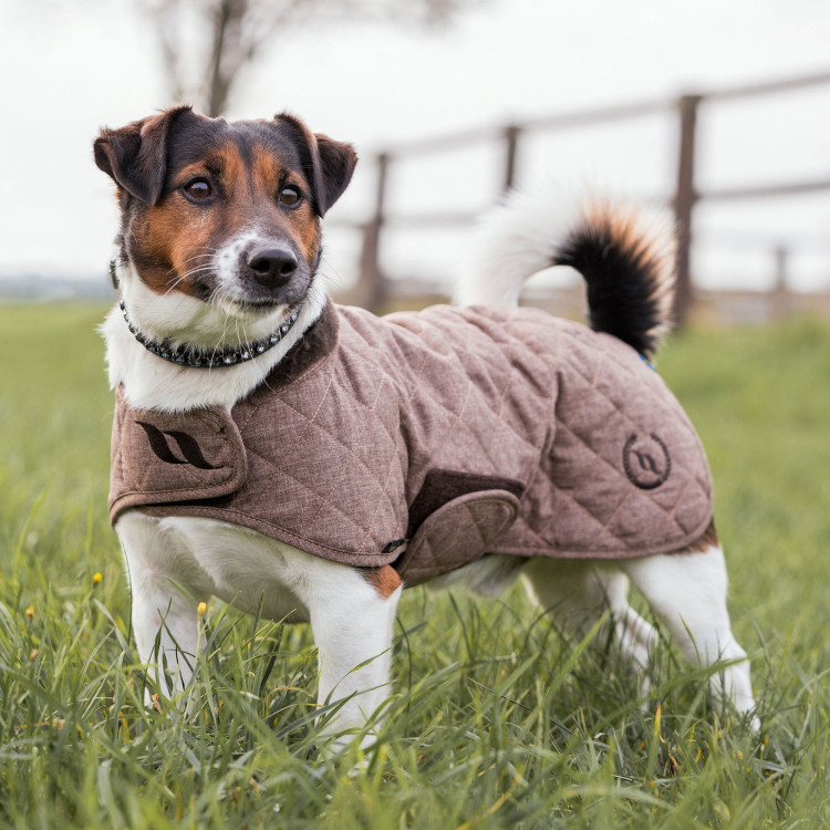 Abrigo para perro BACK ON TRACK "Haze Collection" Abrigo para perro BACK ON TRACK "Haze Collection"