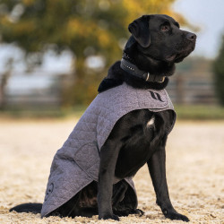 Abrigo para perro BACK ON TRACK "Haze Collection" Gris