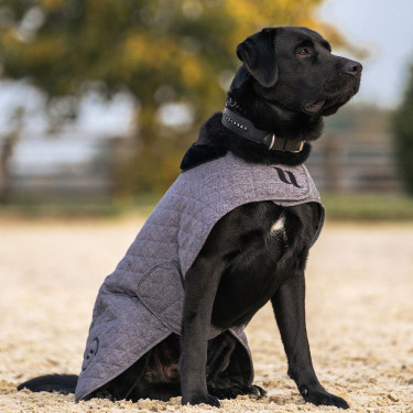 Abrigo para perro BACK ON TRACK "Haze Collection" Gris