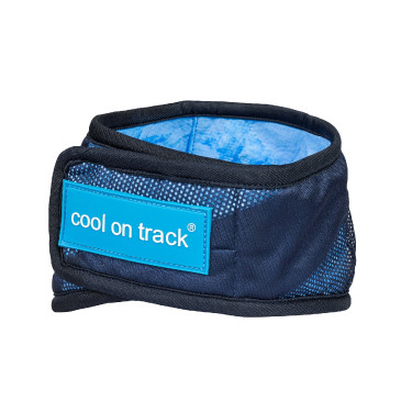 Cool on Track Back on Track Pañuelo refrescante Azul Cool on Track Back on Track Pañuelo refrescante Azul