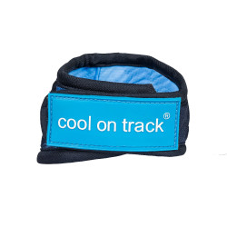 Cool on Track Back on Track Pañuelo refrescante Azul