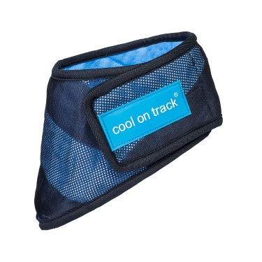 Cool on Track Back on Track Pañuelo refrescante Azul Cool on Track Back on Track Pañuelo refrescante Azul