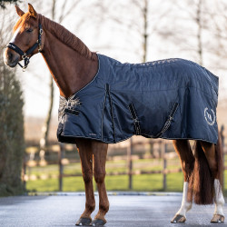 Millie Back on Track Box Manta 100g