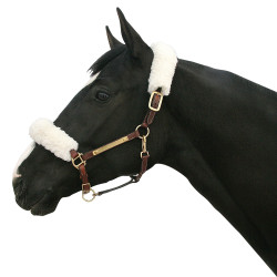 Funda Halter Back on Track