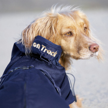 Abrigo de malla para perro Back on Track Azul Abrigo de malla para perro Back on Track Azul