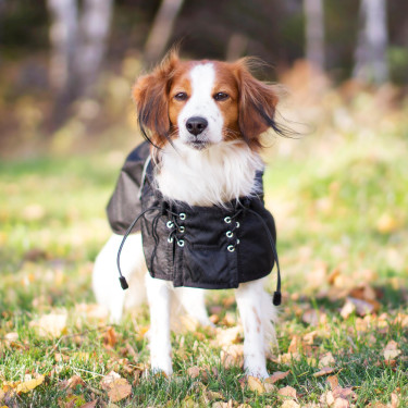 Abrigo para perro impermeable con forro Back on Track Negro Abrigo para perro impermeable con forro Back on Track Negro