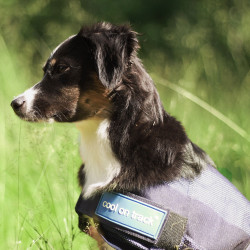 Abrigo refrescante para perro Back on Track Abrigo refrescante para perro Back on Track