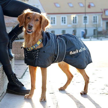 Abrigo estándar para perros Back on Track Negro Abrigo estándar para perros Back on Track Negro