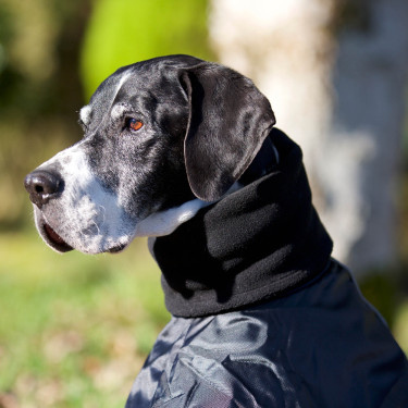 Abrigo para perro Back on Track Whippet Negro Abrigo para perro Back on Track Whippet Negro