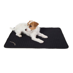 Colchón multiusos para perros Back on Track