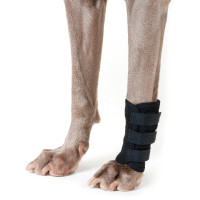 Back on Track protección delantera para piernas para perros Negro Back on Track protección delantera para piernas para perros Negro