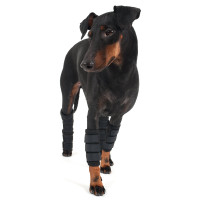 Back on Track protección delantera para piernas para perros Negro Back on Track protección delantera para piernas para perros Negro