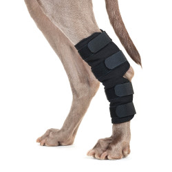Back on Track Dog Guards para patas traseras Back on Track Dog Guards para patas traseras