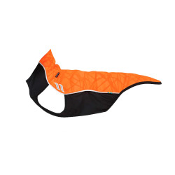 Jersey para perro Eddie Back on Track sin percha Jersey para perro Eddie Back on Track sin percha