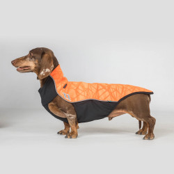 Jersey para perro Eddie Back on Track sin percha Jersey para perro Eddie Back on Track sin percha