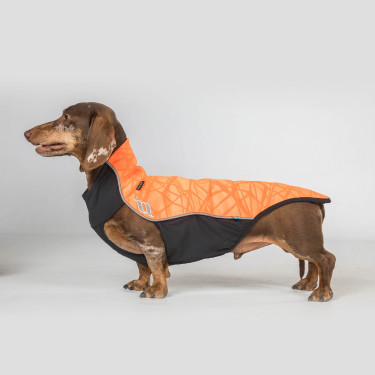 Jersey para perro Eddie Back on Track sin percha Jersey para perro Eddie Back on Track sin percha
