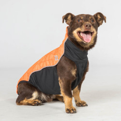 Jersey para perro Eddie Back on Track sin percha Jersey para perro Eddie Back on Track sin percha