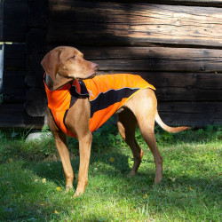 Jersey para perro Eddie High Visibility Back on Track sin percha