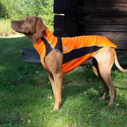 Jersey para perro Eddie High Visibility Back on Track sin percha