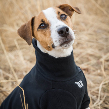Jersey de forro polar sin percha Cassie Back on Track Jersey de forro polar sin percha Cassie Back on Track