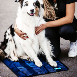 Toalla refrescante para perros Cool on Track Toalla refrescante para perros Cool on Track