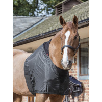 Protección de espaldas LeMieux Protección de espaldas LeMieux