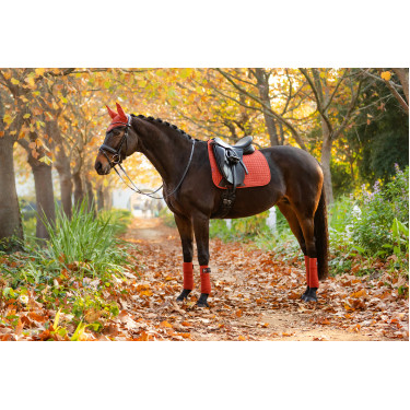 Mantilla LeMieux doma square - luxury Mantilla LeMieux doma square - luxury