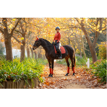 Mantilla LeMieux doma square - luxury Mantilla LeMieux doma square - luxury