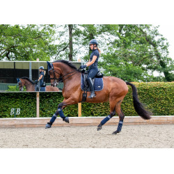 Mantilla LeMieux Loire Classic Dressage Square