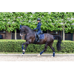 Mantilla LeMieux Loire Classic Dressage Square Crepúsculo marino Azul