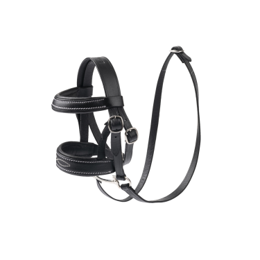 Brida Mini Pony LeMieux Brida Mini Pony LeMieux