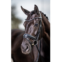 Cabezada de doma LeMieux Negro