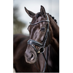 Cabezada de doma LeMieux Negro