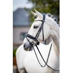 Cabezada de doma LeMieux Negro