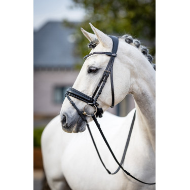 Cabezada de doma LeMieux Negro