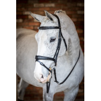 Brida LeMieux Competencia Flash Negro
