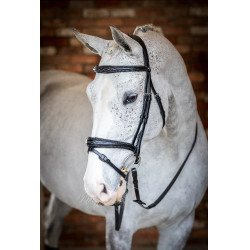 Brida LeMieux Competencia Flash