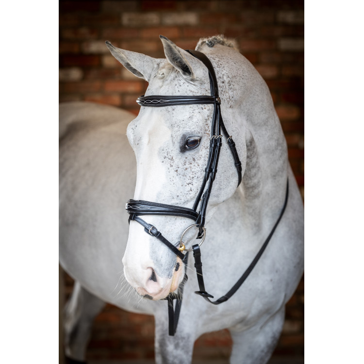 Brida LeMieux Competencia Flash