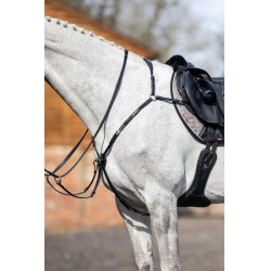 Coraza LeMieux Negro Coraza LeMieux Negro