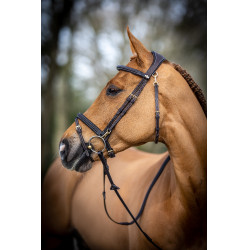 Brida de trabajo LeMieux Castaño Marrón