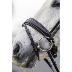 Cabezada de doma LeMieux Castaño Marrón