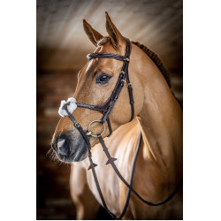 Brida LeMieux Grackle Havana Marr&amp;amp;amp;oacute;n